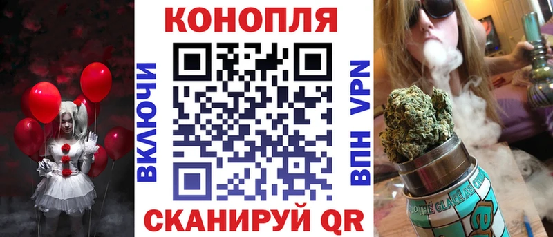 Бошки Шишки план  купить  цена  мега ссылки  Минусинск 